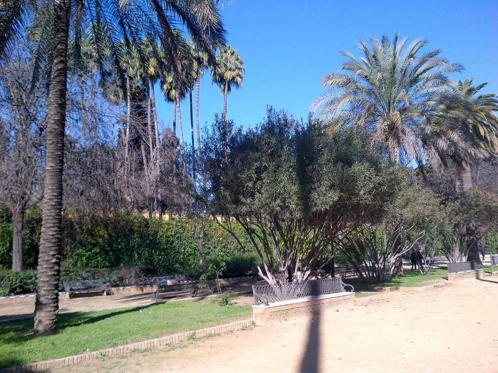Apartamentos Murallas De Sevilla מראה חיצוני תמונה