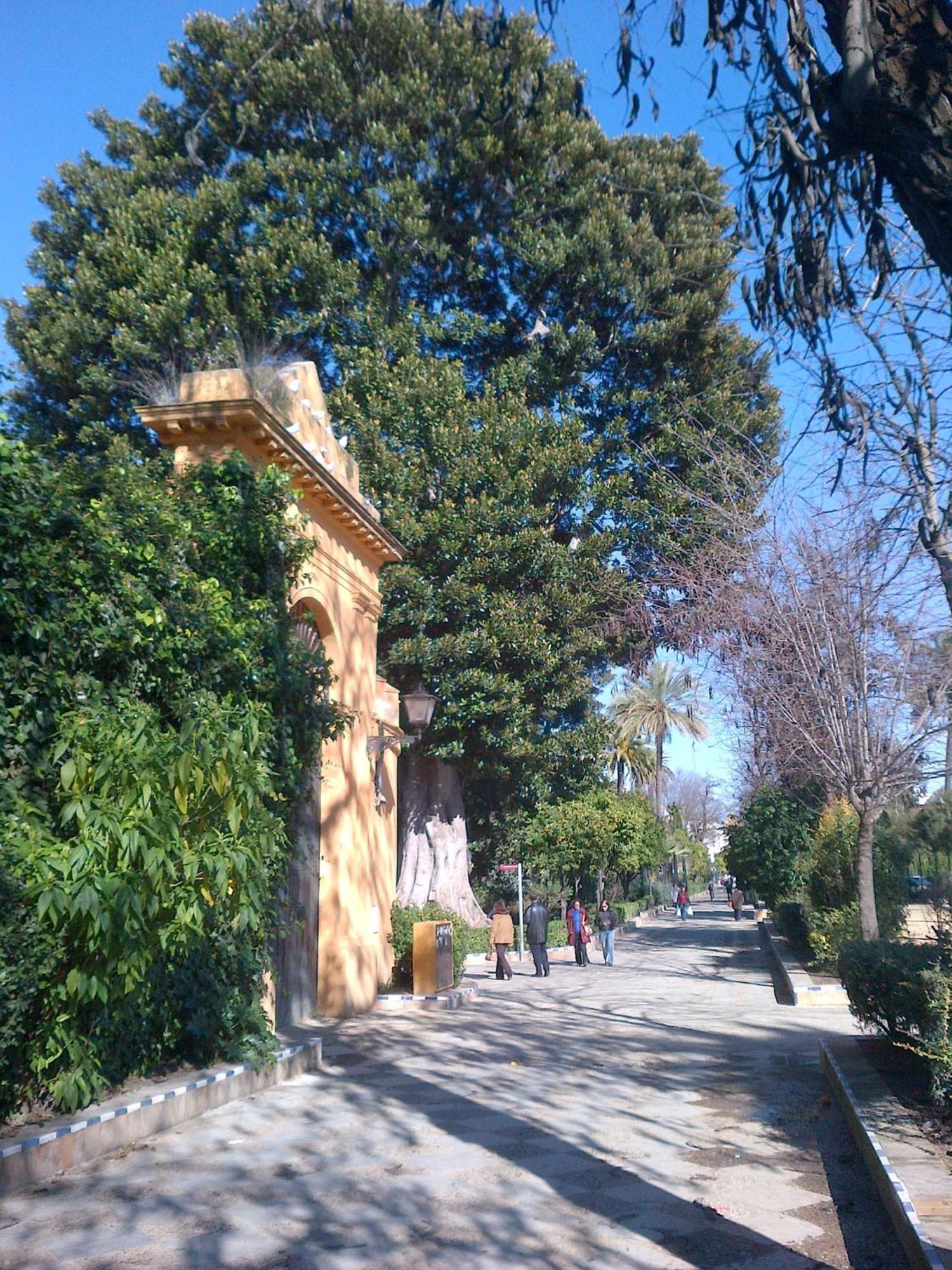 Apartamentos Murallas De Sevilla מראה חיצוני תמונה