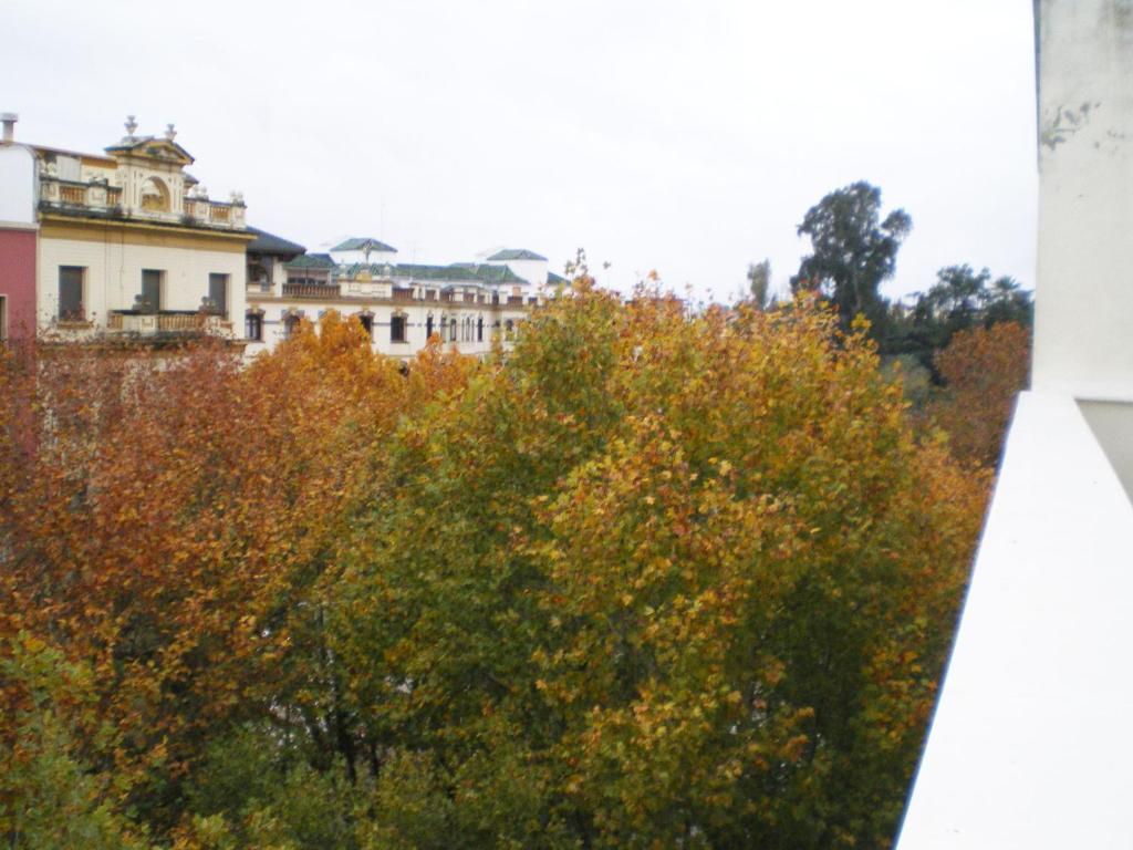 Apartamentos Murallas De Sevilla מראה חיצוני תמונה